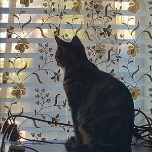 Meet your Posher, Anu